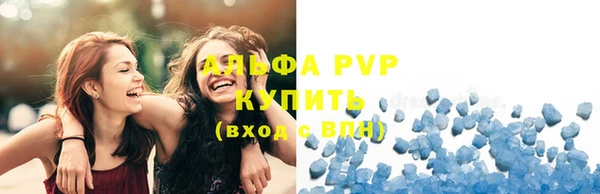 гидра Белокуриха