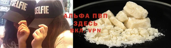 гидра Белокуриха