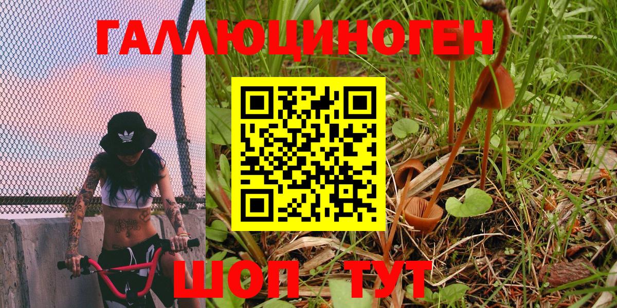 Псилоцибиновые грибы мухоморы  Галлюциногенные грибы Cubensis  Воркута 