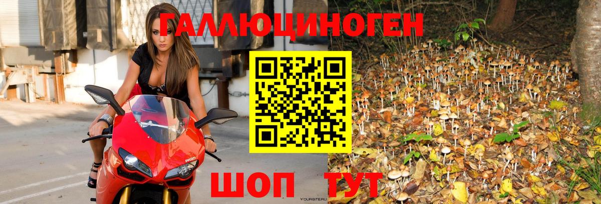 Псилоцибиновые грибы Magic Shrooms Воркута