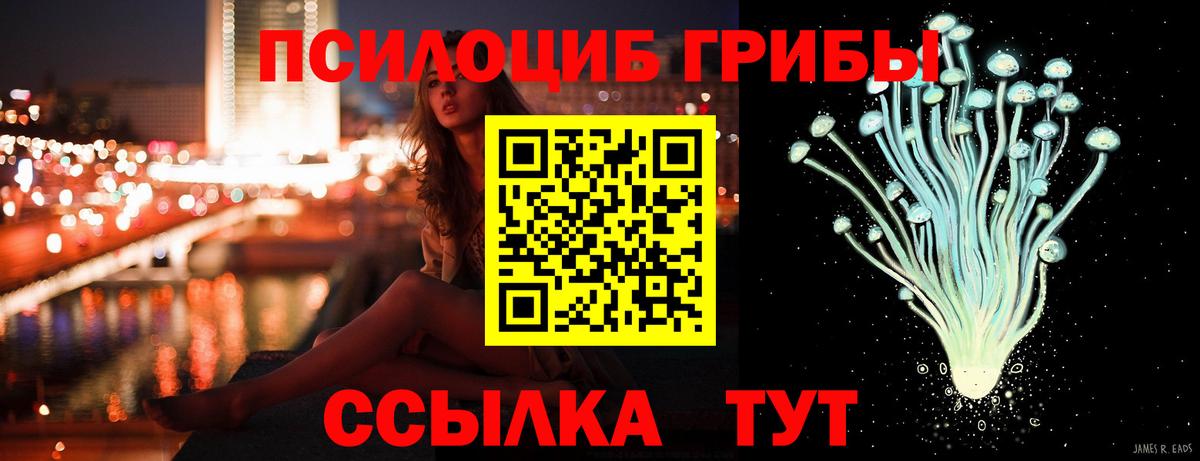 Галлюциногенные грибы прущие грибы Воркута