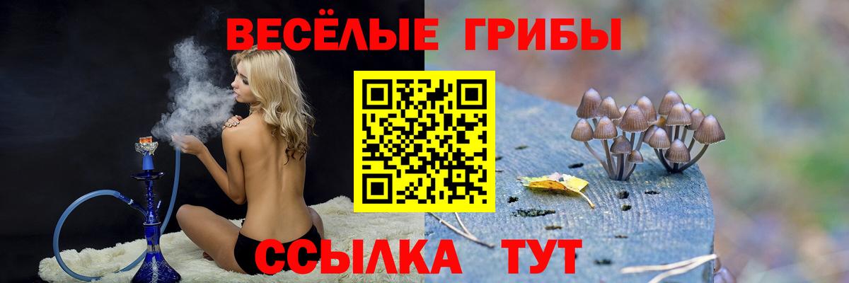 Воркута  Псилоцибиновые грибы Psilocybe  Вход с VPN 